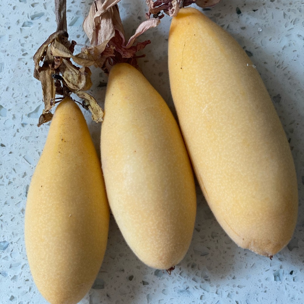 Beautiful passion fruits, 20 seeds - Picture 4 of 8